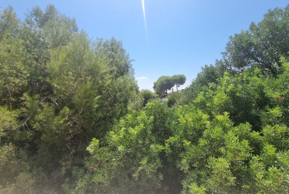 26 Polacy w Hiszpanii