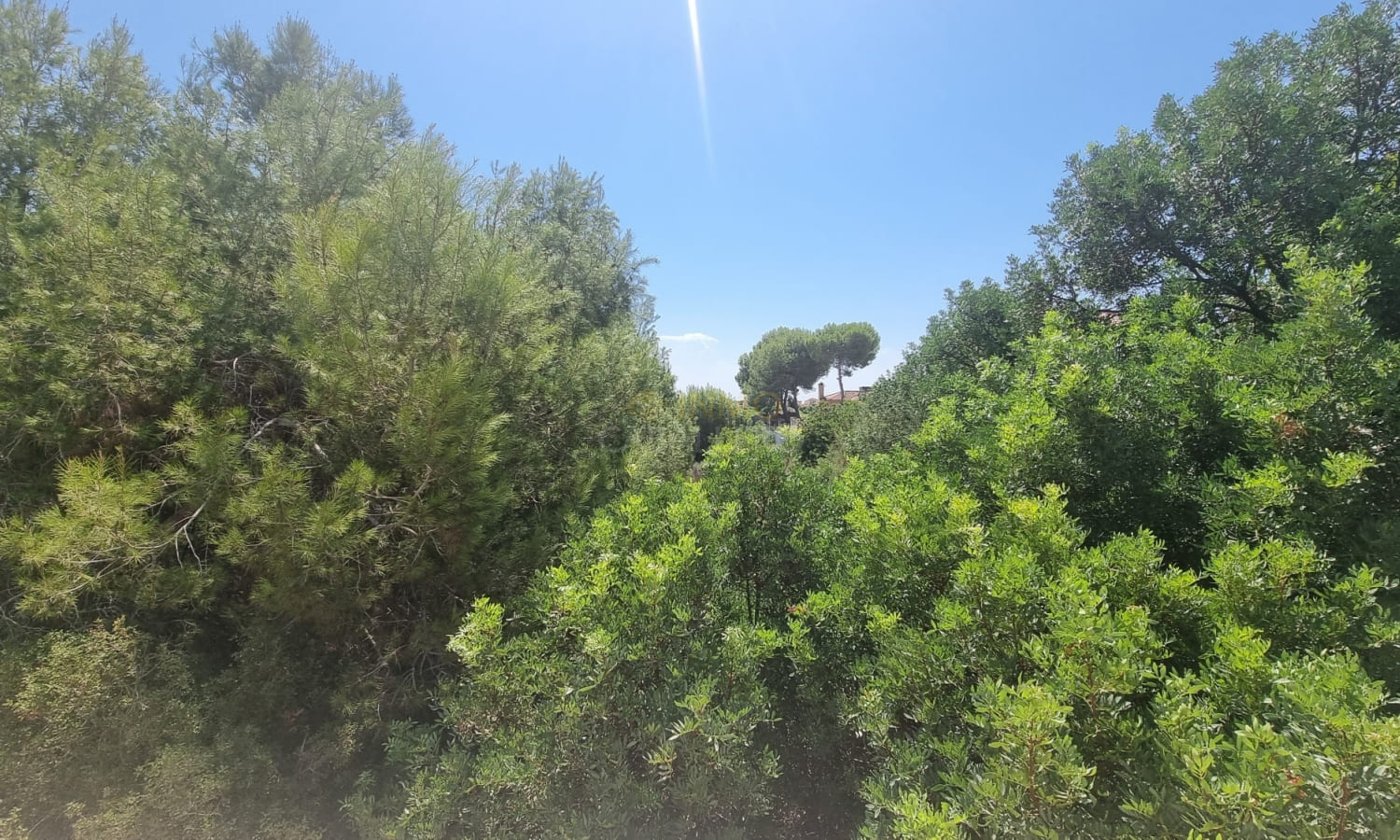 26 Polacy w Hiszpanii